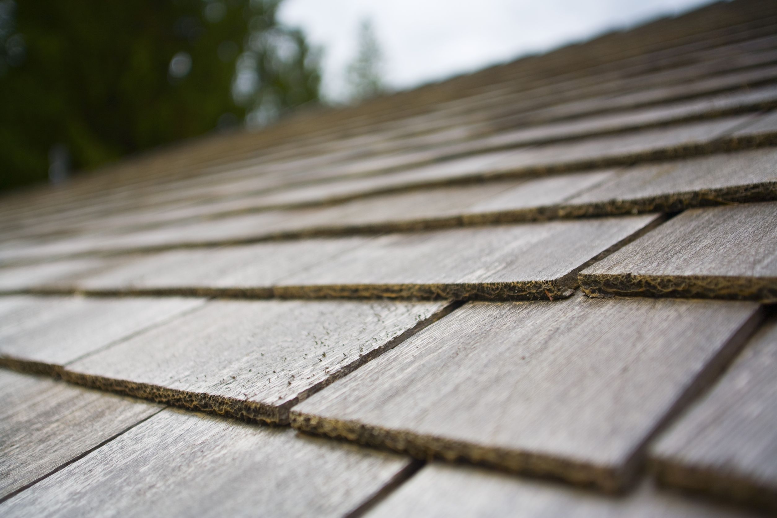 Roofing Services in Durham, NC