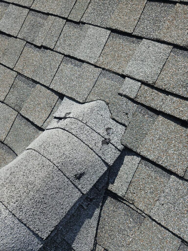 whatsapp image 2026 01 30 at 22.31.31