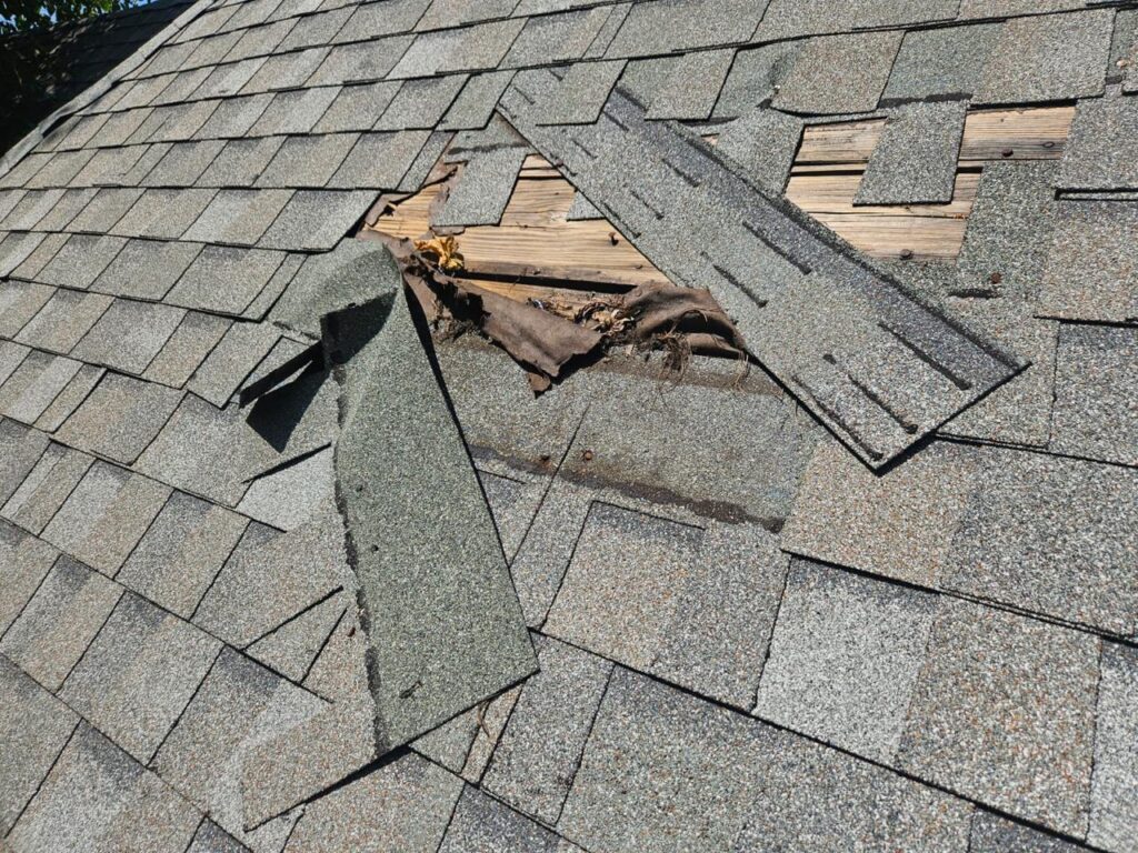 whatsapp image 2026 01 30 at 22.31.49 (2)