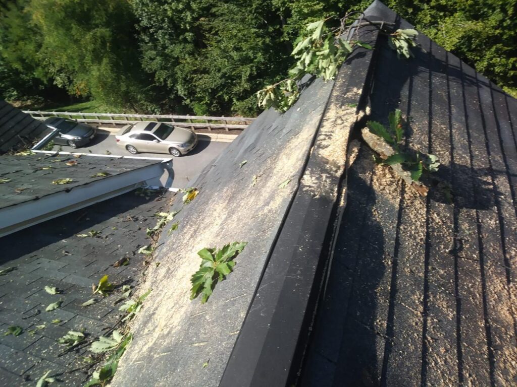 whatsapp image 2026 01 30 at 22.31.51 (1)