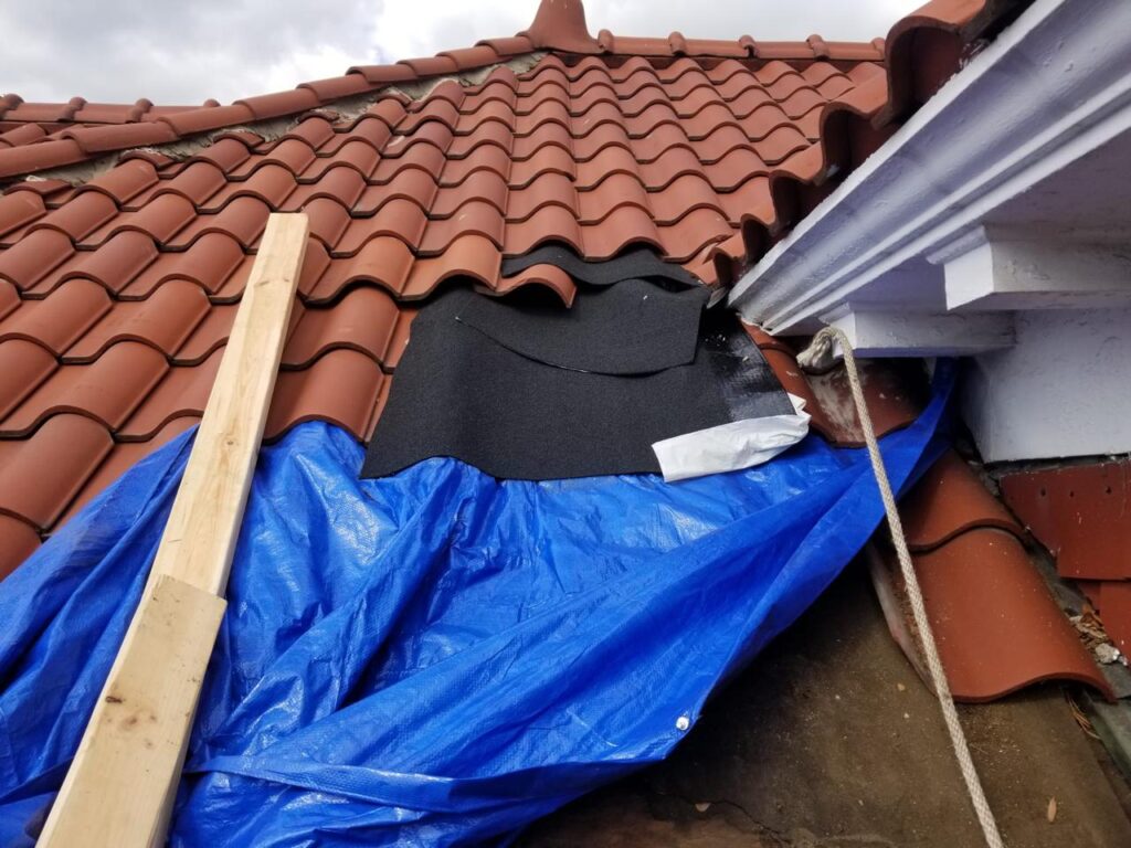 whatsapp image 2026 01 30 at 22.31.51 (2)