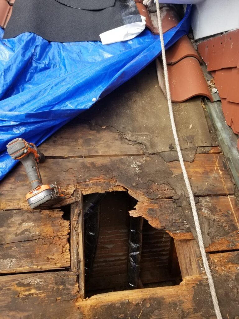 whatsapp image 2026 01 30 at 22.31.51 (3)